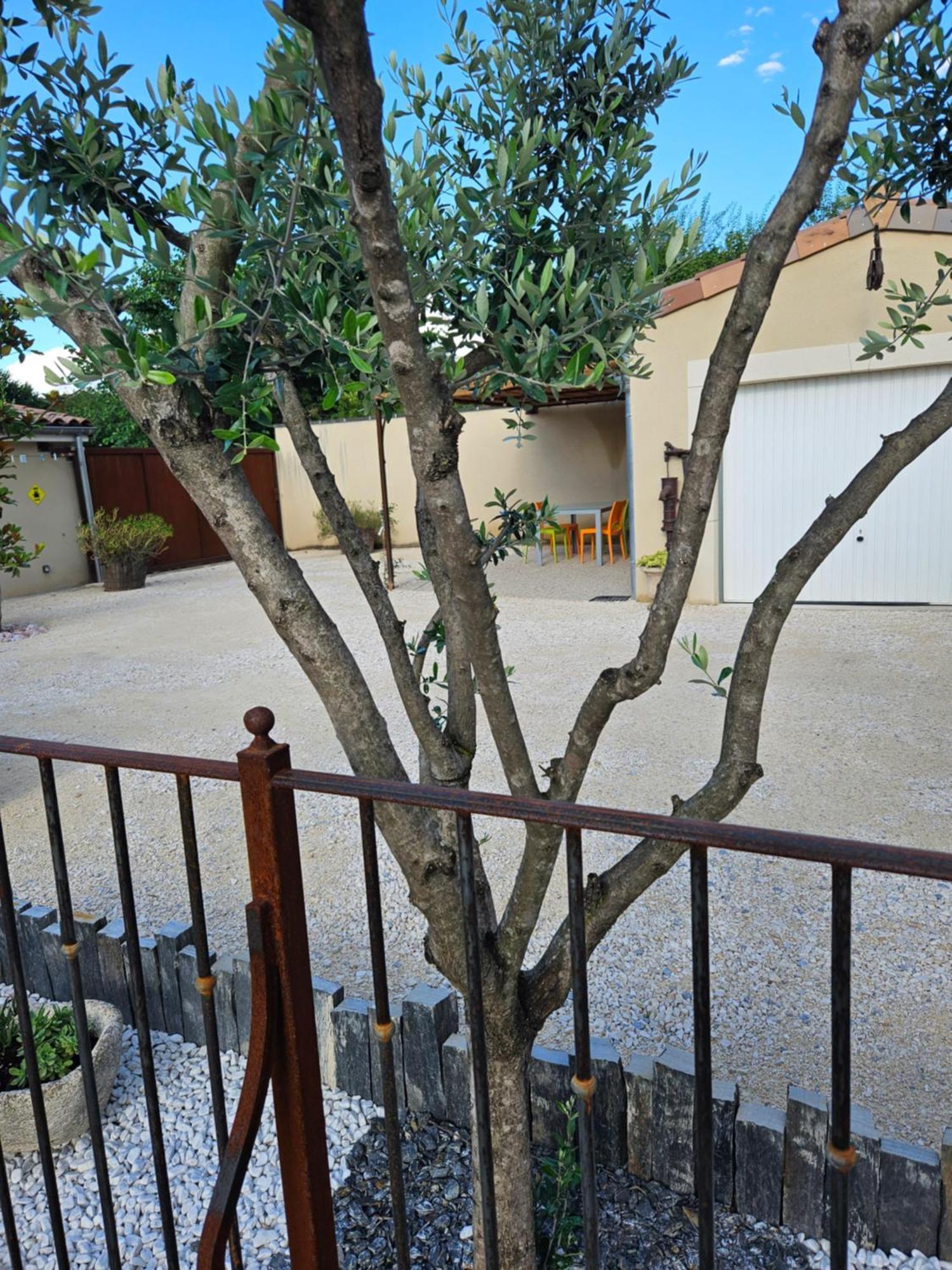 Le Rubiz Apartment La Coucourde Exterior photo